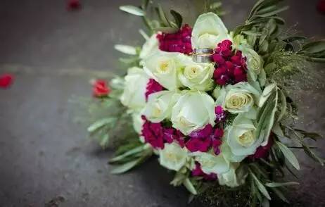 咏玫瑰｜芒刺从来不解难，远了相思，却了情关