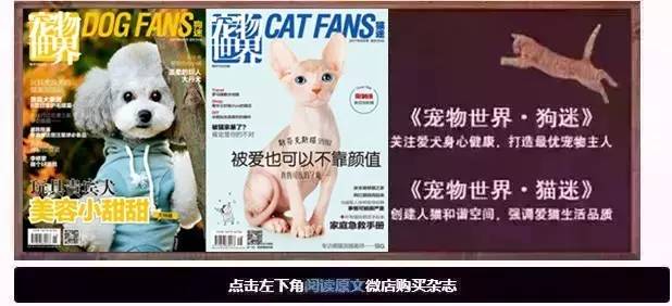 救命啊！主子溺水、触电、中毒了怎么办？！丨强档