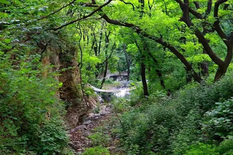 临朐周末好去处,盐田周末去哪玩