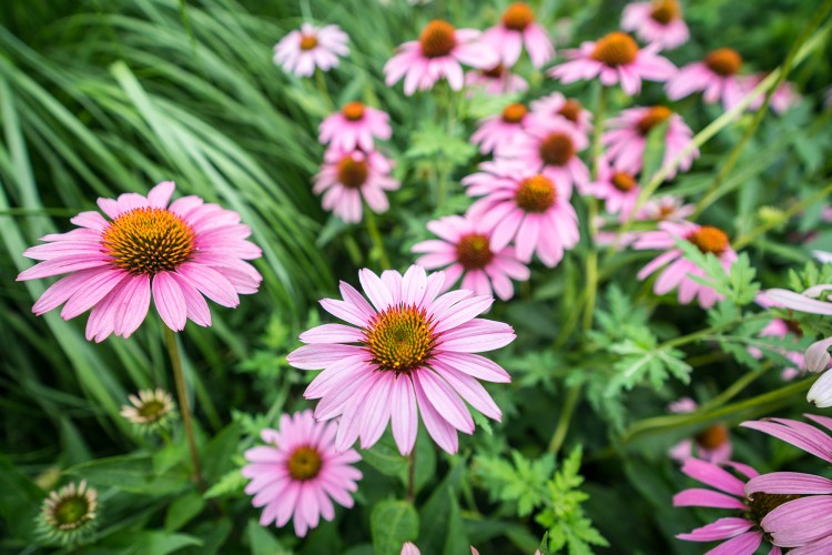 索尼fe35f2.0定焦镜头评测,索尼16-35全画幅广角