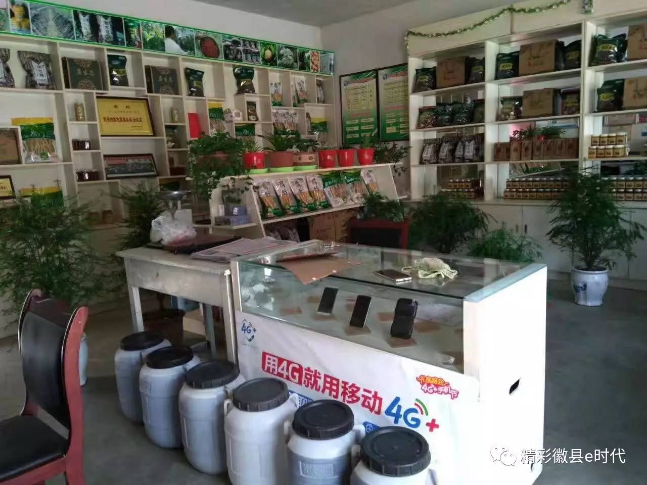 魏亚玲福建泉州,广安魏亚玲