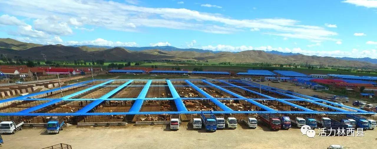 「媒体报道·赤峰日报」又踏层峰望眼开—林西县经济社会发展纪实