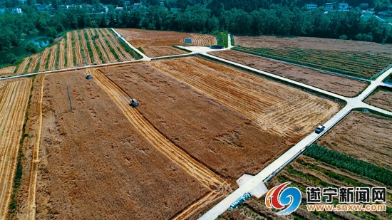 九三学社·绿然集团创新合作基地