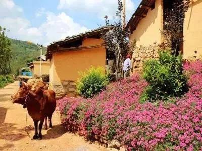 东风韵和可邑小镇哪个好玩,可邑民族文化生态旅游村