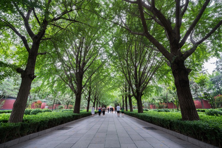 索尼fe35f2.0定焦镜头评测,索尼16-35全画幅广角