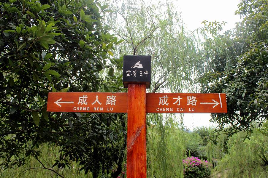 新宜宾三中,谢谢你三个字的歌词