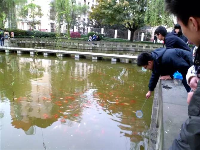 新宜宾三中,谢谢你三个字的歌词