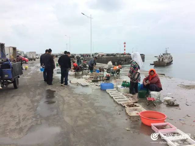 日照开海后什么时候买海鲜,日照开海首日海鲜