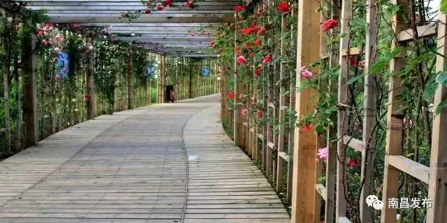 南昌2号线地铁怎么过赣江,二号线地铁游玩线路