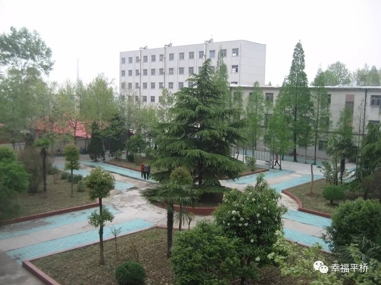 央视转播信阳,央视走进信阳