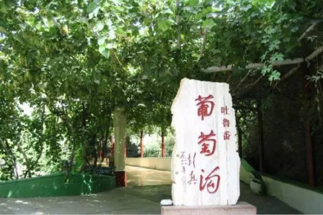 「聚焦基层看检察」吐鲁番站第三棒：文化之都、甜蜜葡城、旅游圣地！一座最干、最热、最甜、最低的城市，高昌区人民检察院来啦！