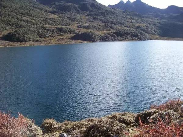 成都到稻城亚丁包车,成都出发去稻城亚丁包车自由行