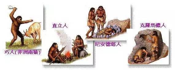 哪种毛线暖和耐穿,买毛线有哪些注意事项呢