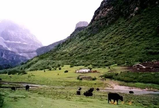 成都到稻城亚丁包车,成都出发去稻城亚丁包车自由行