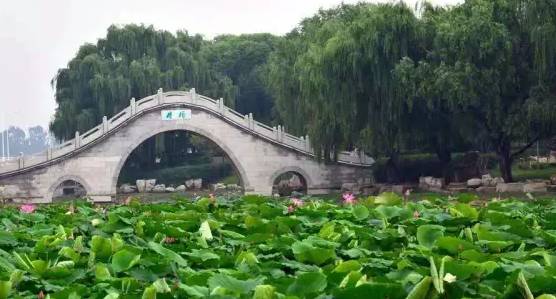 临朐周末好去处,盐田周末去哪玩