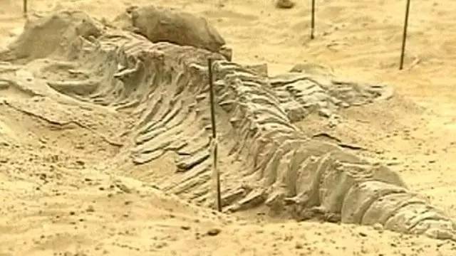 全球十大奇葩酒排行,最奇葩的啤酒有哪些