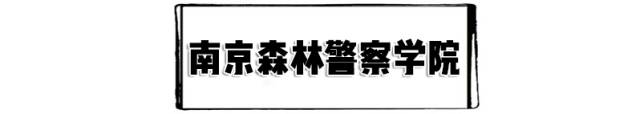 南京宿舍最好的专科大学,南京最好的大学宿舍