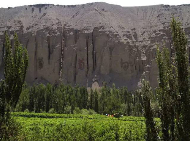 「聚焦基层看检察」吐鲁番站第三棒：文化之都、甜蜜葡城、旅游圣地！一座最干、最热、最甜、最低的城市，高昌区人民检察院来啦！