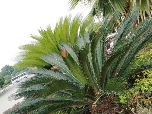 久用流畅不卡顿,久用不卡顿的手机