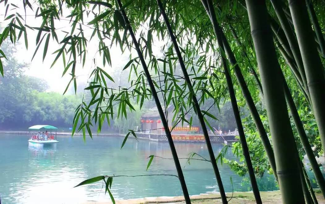 临朐周末好去处,盐田周末去哪玩