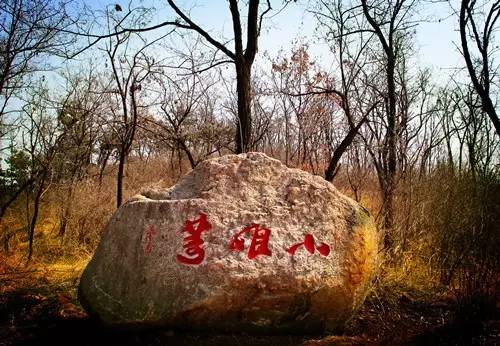 临朐周末好去处,盐田周末去哪玩