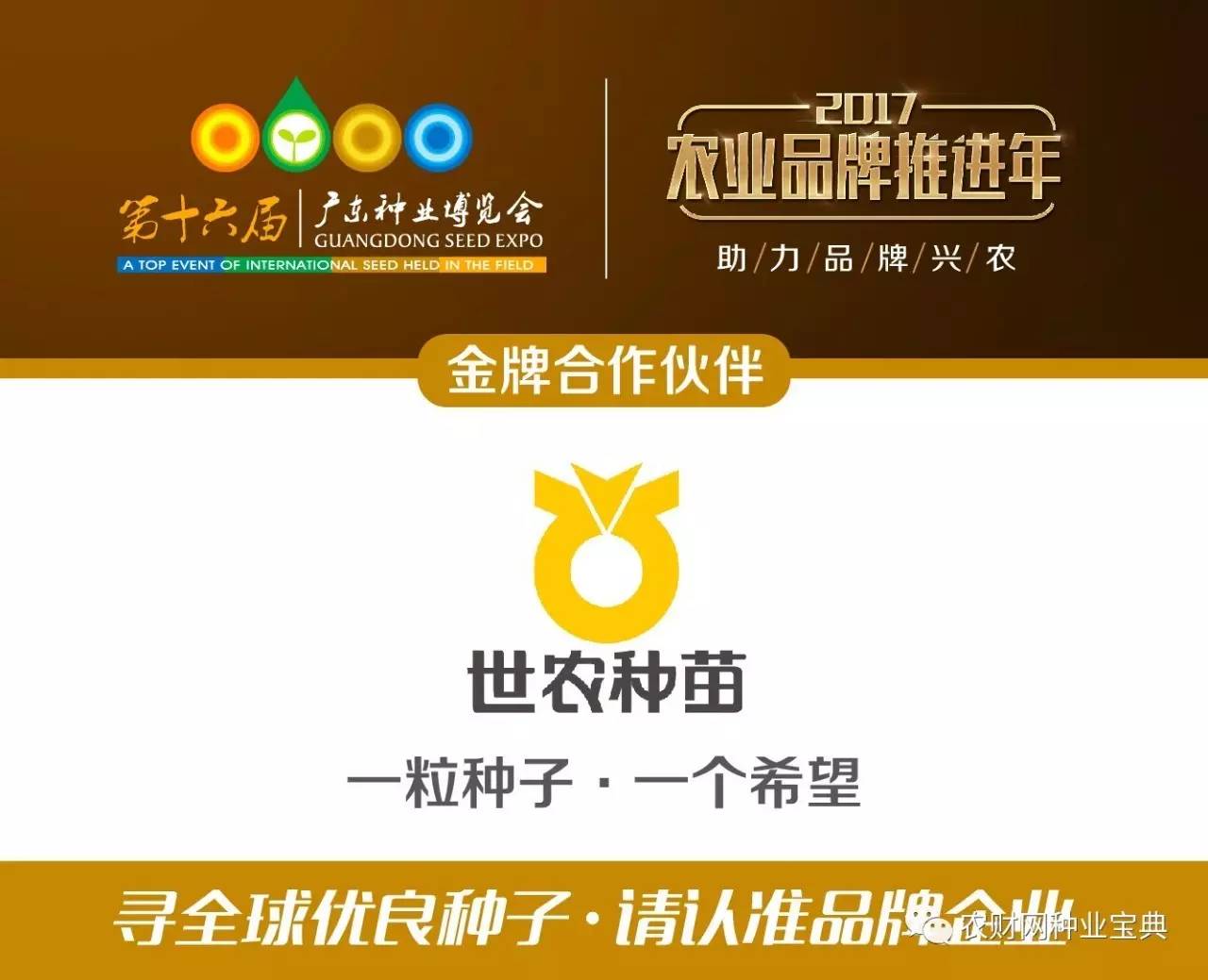 火拼!近百亿黄淮海市场,品种与高温的爱恨纠葛,谁将笑到最后?