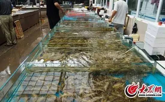 日照开海后什么时候买海鲜,日照开海首日海鲜