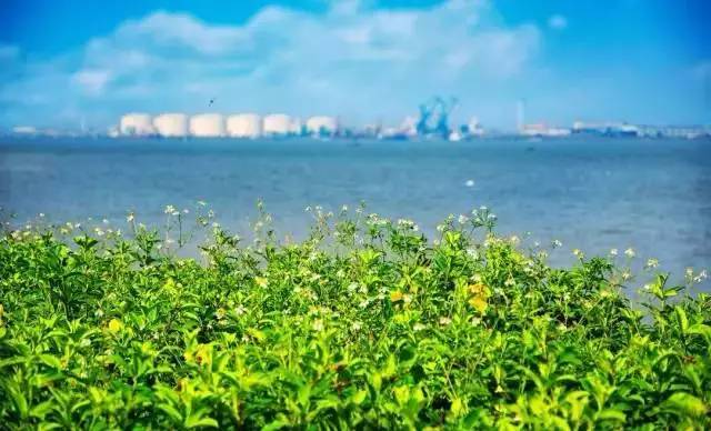 禅城小岛,禅城周边海边景点有哪些