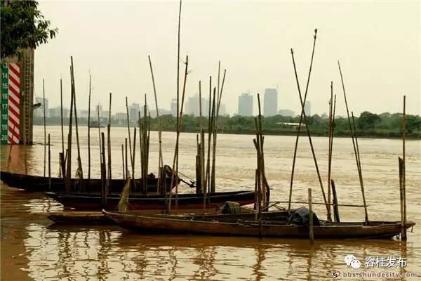 禅城小岛,禅城周边海边景点有哪些