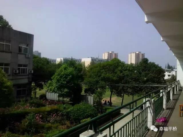 央视转播信阳,央视走进信阳