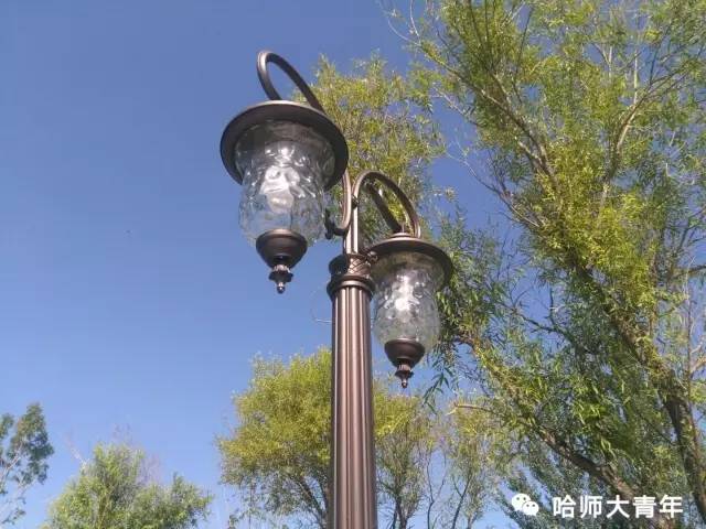 哈师大改造了吗,哈尔滨哈师大梦溪湖