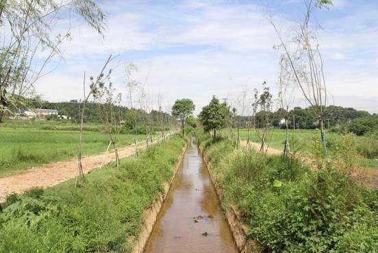 「文明创建」宁乡有一个颜值与内涵并重的社区,你去过吗?