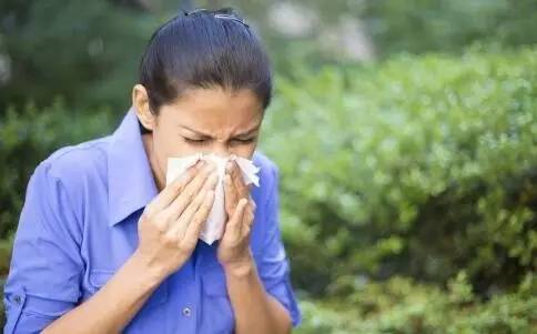 说多了都是喷嚏,秋季鼻炎强势来犯,更糟糕的是过敏性鼻炎能够遗传!中招的巴彦淖尔人集合啦!