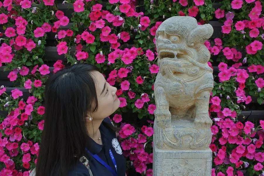 走进安徽了解安徽的历史,走进颍上听一个皖北小县的传说