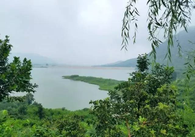 临朐周末好去处,盐田周末去哪玩