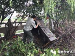 焕新颜|横林镇投入50万,横林地板城及周边环境整治提升!