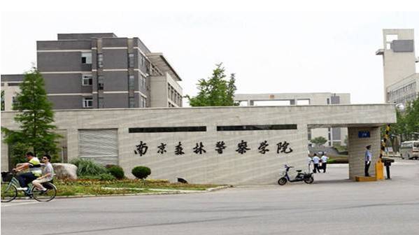 南京宿舍最好的专科大学,南京最好的大学宿舍