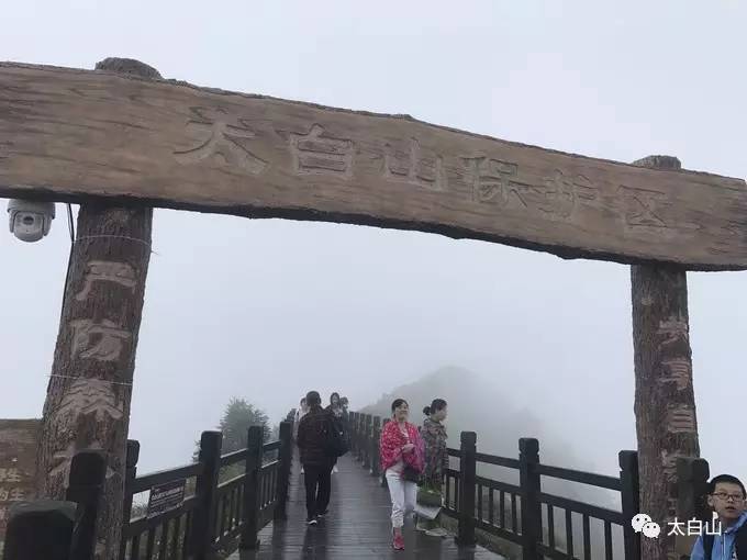 太白山游记下集视频,太白山一日游游记400字