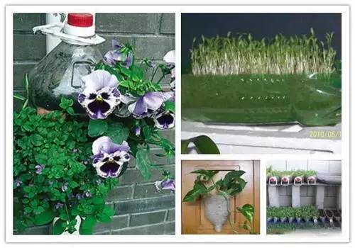 教你巧制精美花盆,做花盆大全简单方法