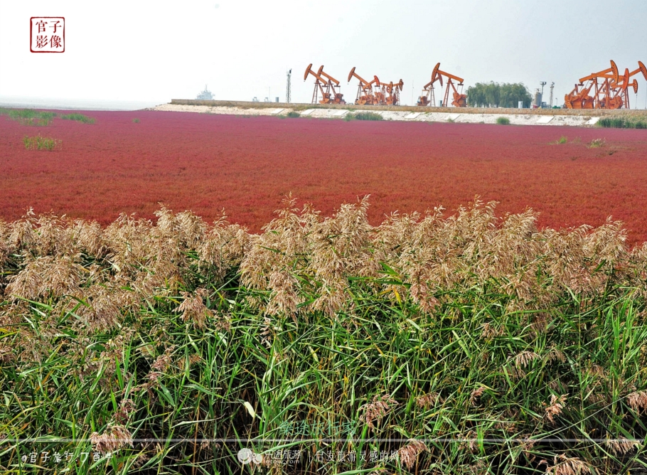 亚洲最大的天然红地毯,世上最出名的红地毯