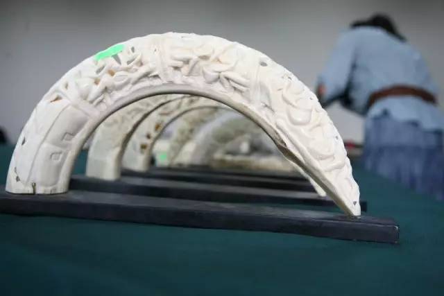 海关案件移交标准,移交海关缉私的货物会怎么处理