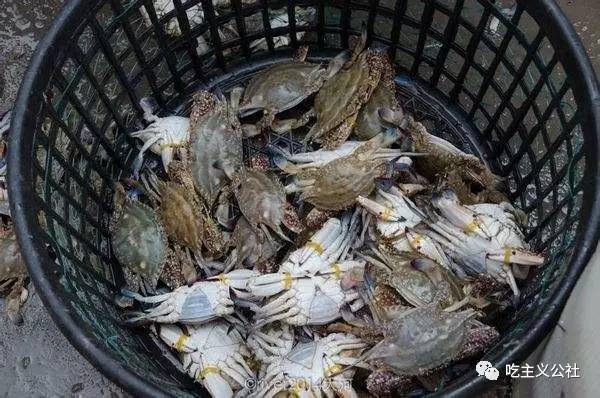 你知道天津卫的“磕啦”煮粥吗?