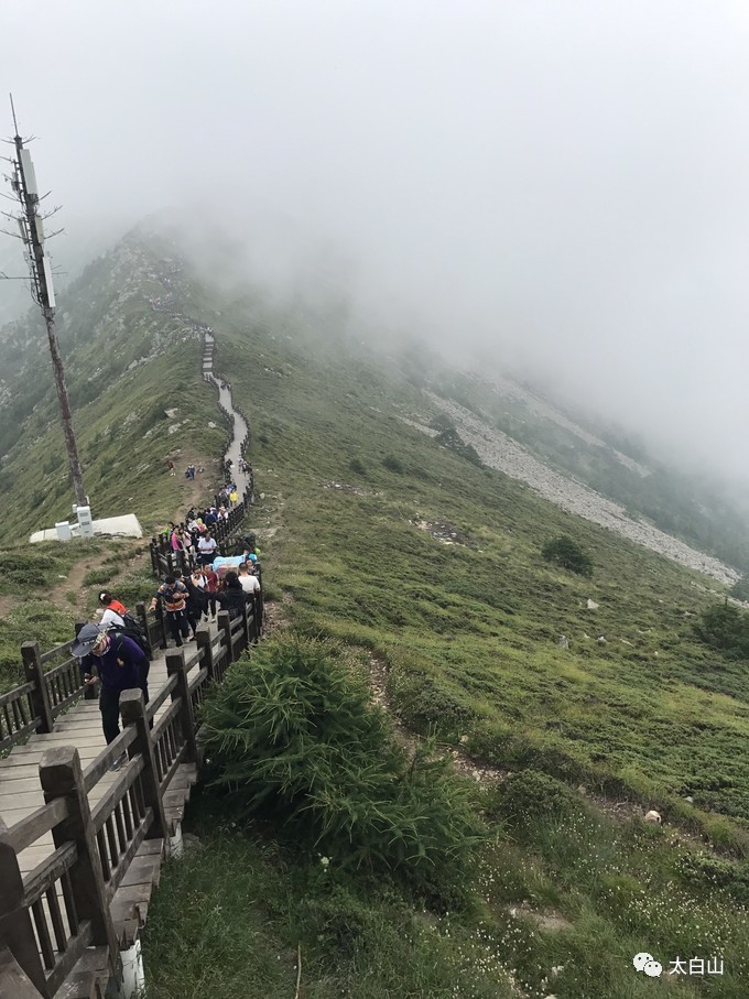 太白山游记下集视频,太白山一日游游记400字