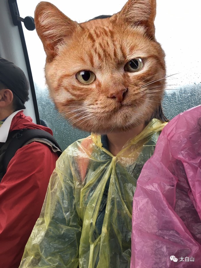 太白山游记下集视频,太白山一日游游记400字