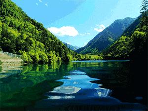 游玩中国大竹海,中国大竹海旅游