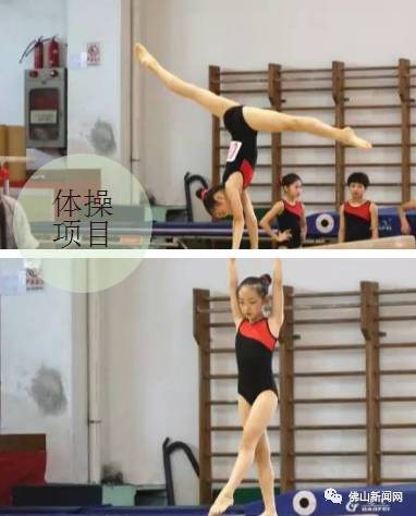 佛山市第九届运动会,佛山十强奖牌