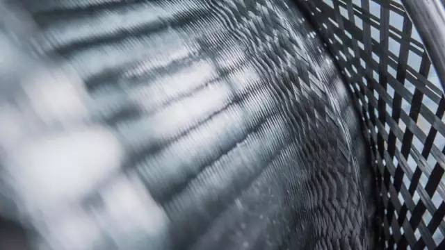 保时捷汽车资讯,保时捷汽车资讯大全及报价