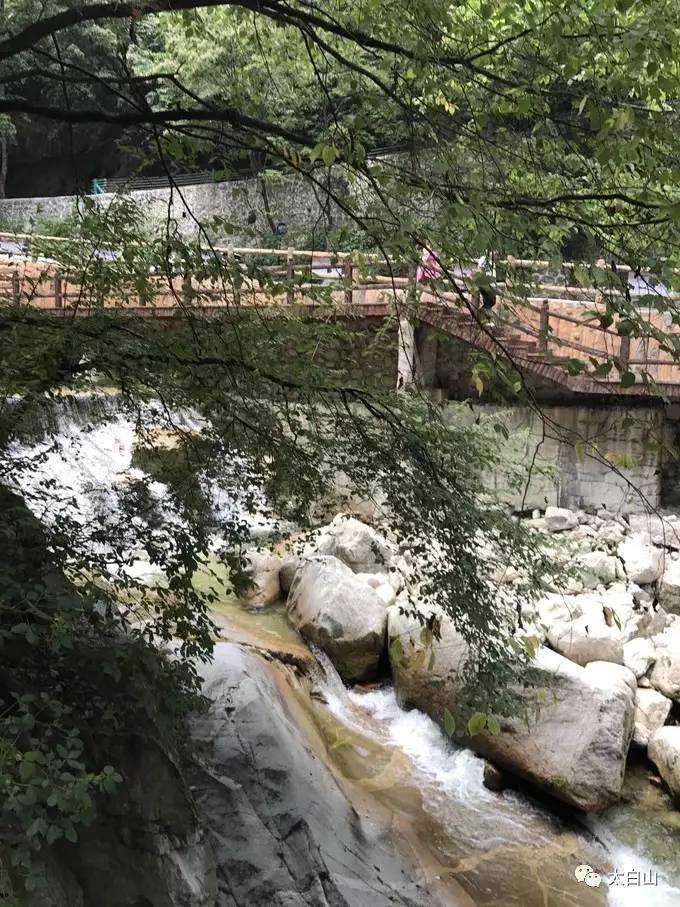 太白山游记下集视频,太白山一日游游记400字