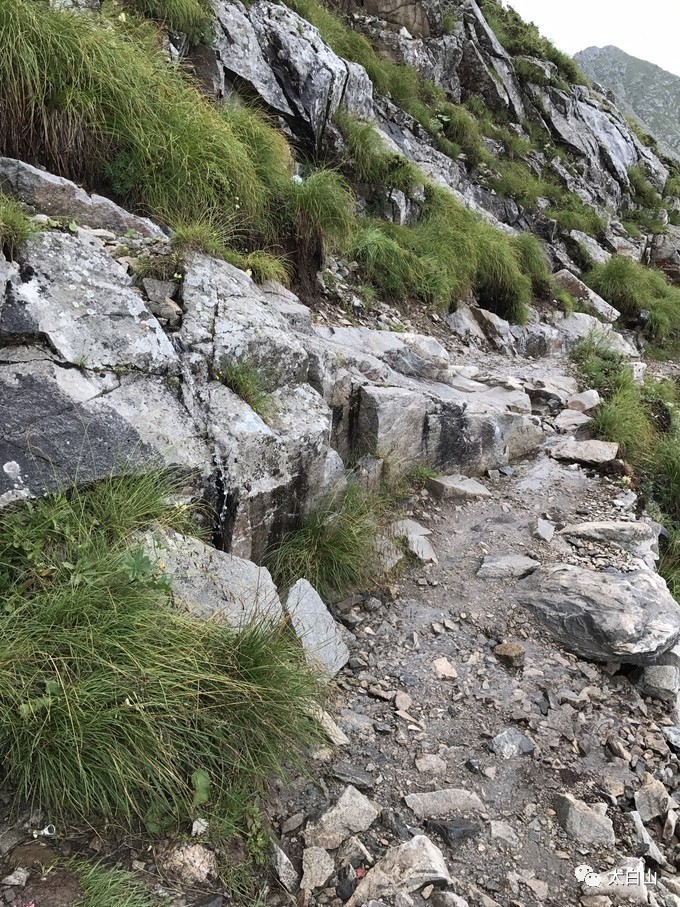 太白山游记下集视频,太白山一日游游记400字
