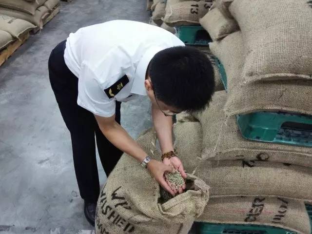 截获万花筒｜日本玳瑁、韩国金蛋、老挝蜂猴、台湾牛樟芝、非洲环尾蜥……